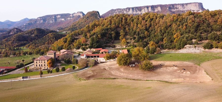 Fotografía y vídeo con drones